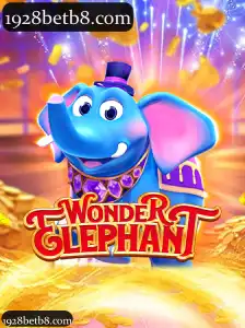 WonderElephant
